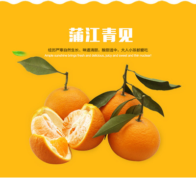 招商 柑橘新鲜水果